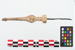 Foto von Beinnadelspitzenschoner (NHMW-PRAE-025364)